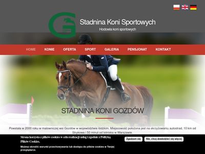 Sprzedaż koni sportowych - skgozdow.pl