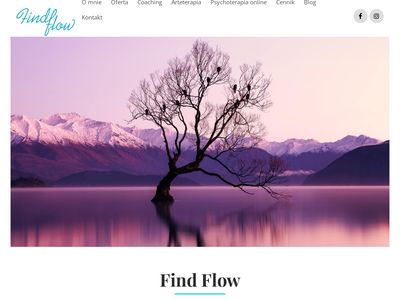 Find Flow