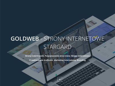 GOLDWEB Strony internetowe i pozycjonowanie