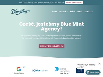 Blue Mint Agency