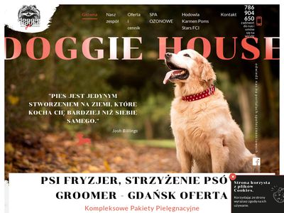 Psi fryzjer w Gdańsku - Pielęgnacja i strzyżenie psów - doggiehouse.pl