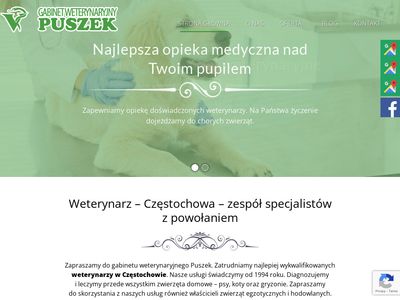 Kastracja zwierząt Częstochowa - przychodniaweterynaryjnapuszek.pl
