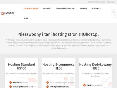 SecurityHost hosting www