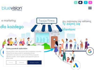 Blue Vision Agnecja Marketingowa
