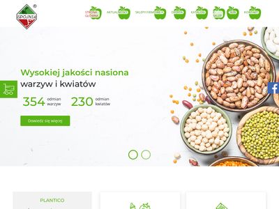 Nasiona marchwi - nasiona-warzyw.pl