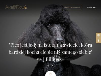 Salon dla psów - ambernova.pl