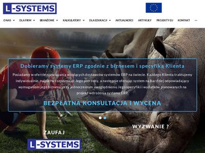 Systemy ERP - Usługi i wdrożenia - L-Systems