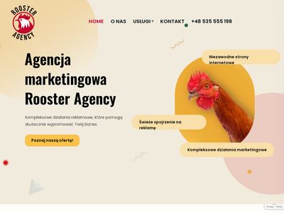 Prowadzenie social media - Rooster Agency
