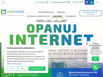 Agencja marketingowa google ads - Exelmedia.pl