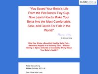 Betta Fish - Learn How to Give Your Betta a Great Life!