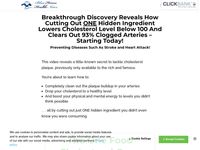 The Oxidized Cholesterol Strategy vsl cb - Blue Heron Health News
