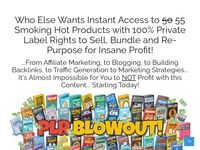 PLR Blowout - 55 Niche eBook Products with Full Private Label Rights