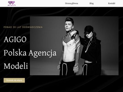 Agigo - Tworzenie stron internetowych