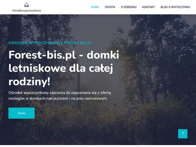 Forest - noclegi Lublin