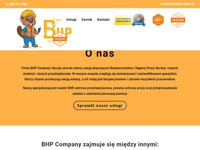 nadzorybhp.pl - szkolenia wstępne BHP