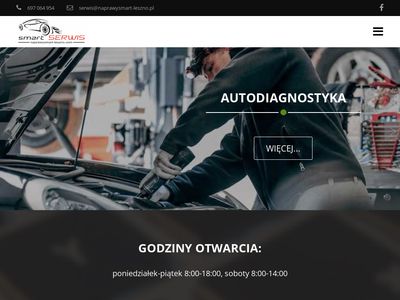 naprawa elektroniki samochodowej Leszno