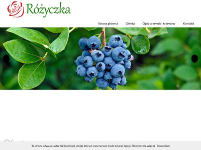 www.szkolka-rozyczka.pl gospodarstwo szkółkarskie Pleszew