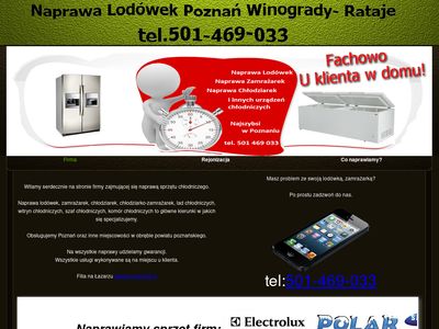 Naprawa Lodówek Poznań - 501-469-033