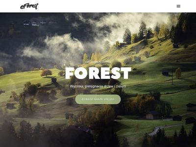 Zakład usług leśnych Forest