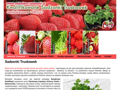 Top Plant - sadzonki truskawek w 20 odmianach