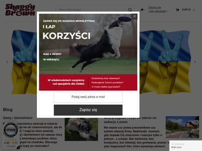 Akcesoria zoologiczne - ShaggyBrown.pl
