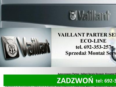 Serwis Vaillant Szczecin - Przeglądy naprawy Vaiillant zachodniopomorskie