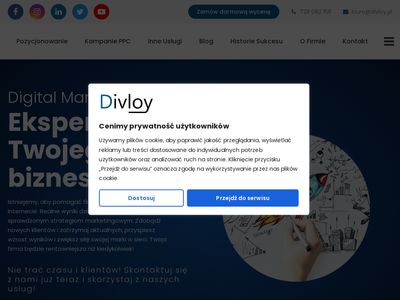 Divloy.pl - SEO, Google Ads, Facebook Ads