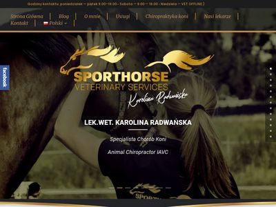 Leczenie koni || Weterynarz koni || sporthorsevet.pl
