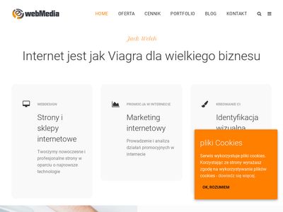 Profesjonalne strony www - ewebmedia.pl