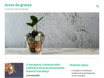Grosz-do-grosza.pl zarabianie własnym na blogu