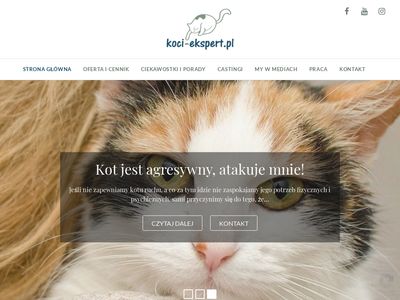 Koci Ekspert - behawiorysta kotów w Krakowie