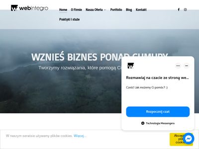 Tworzenie sklepów internetowych - Webintegro.pl