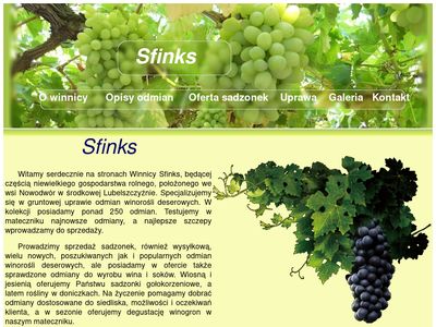 Sadzonki winorośli - Winnica Sfinks - winnicasfinks.pl