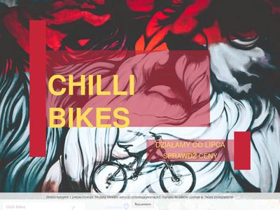 Rowery stylowe i ramy na zamówienie|ChilliBikes