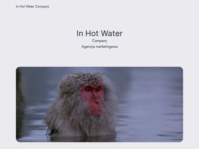 In Hot Water Company Agencja content marketing