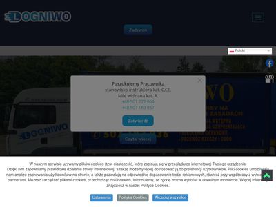 Ogniwo.net.pl kurs prawa jazdy gorzów