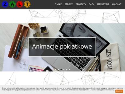 Witryny internetowe, projekty graficzne i marketing - Zalt.pl