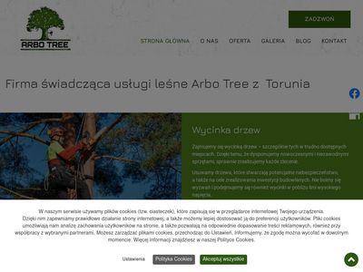 Wycinka drzew Toruń - arbotree.pl