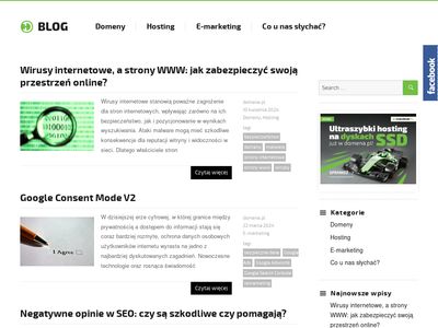 Strony internetowe - blog.domena.pl