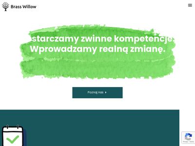 Szkolenia scrum - brasswillow.pl