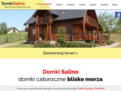 Domeksalino.pl - domki na Kaszubach