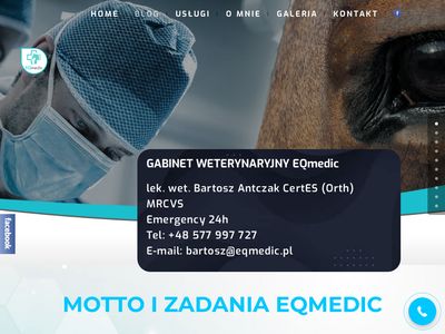 Eqmedic.pl - Leczenie koni