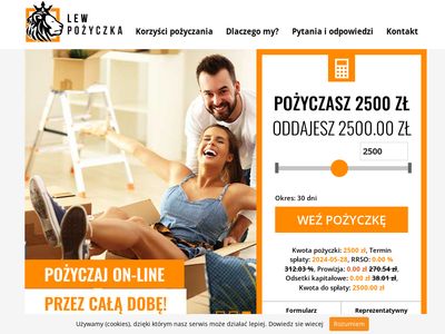 Pożyczka 200 zł online - lewpozyczka.pl
