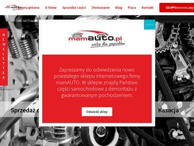 MamAUTO ▷ Skup aut, samochodów, auto szrot | Bydgoszcz Toruń Płock