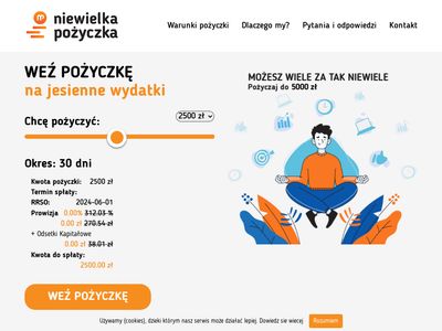 Pożyczka krótkoterminowa - niewielkapozyczka.pl