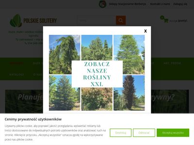 Internetowy sklep ogrodniczy - drzewa, rośliny soliterowe - Polskie Solitery