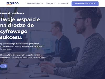 Usługi informatyczne dla firm - prolego.pl