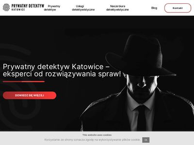 Prywatny detektyw Katowice - Temida