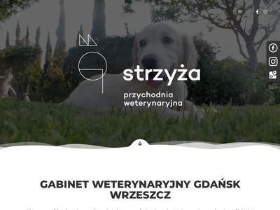 Przychodnia weterynaryjna Gdańsk - przychodniastrzyza.pl