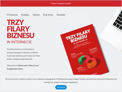 Jak promować firmę w internecie - trzyfilarybiznesu.pl